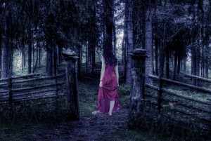 Faerie Grove